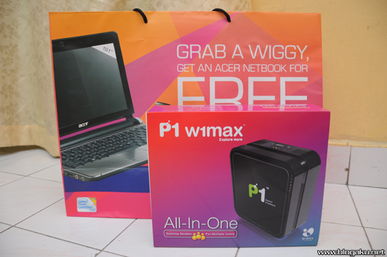 p1wimax-02